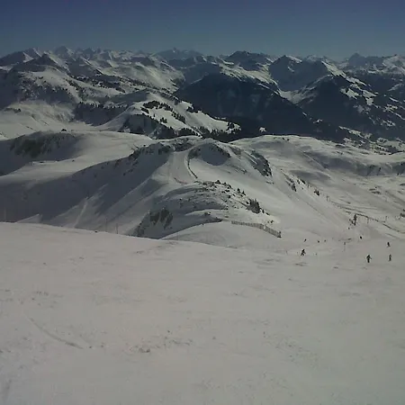 Genner * Kitzbühel