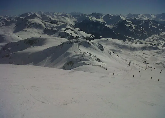 菲里恩霍恩格纳尔公寓 * 基茨比厄尔