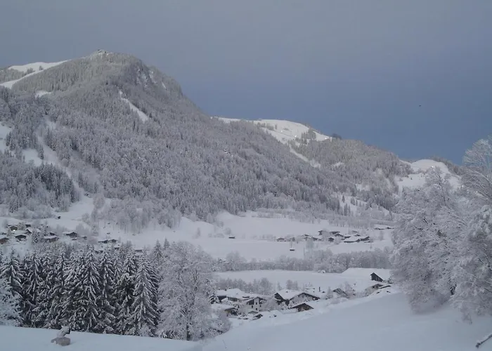 公寓 菲里恩霍恩格纳尔公寓